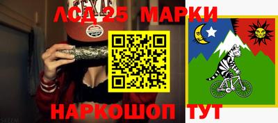 гидропоника Дубна