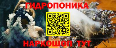 гидропоника Дубна