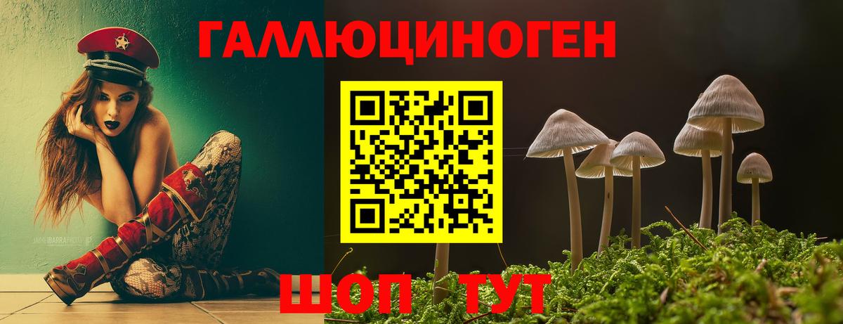Псилоцибиновые грибы Psilocybine cubensis Лосино-Петровский